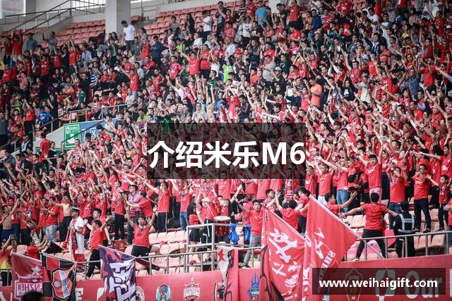 介绍米乐M6